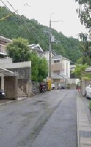 我的丰丝韵母趣阁txt百度《风从旧书街来》小说封面